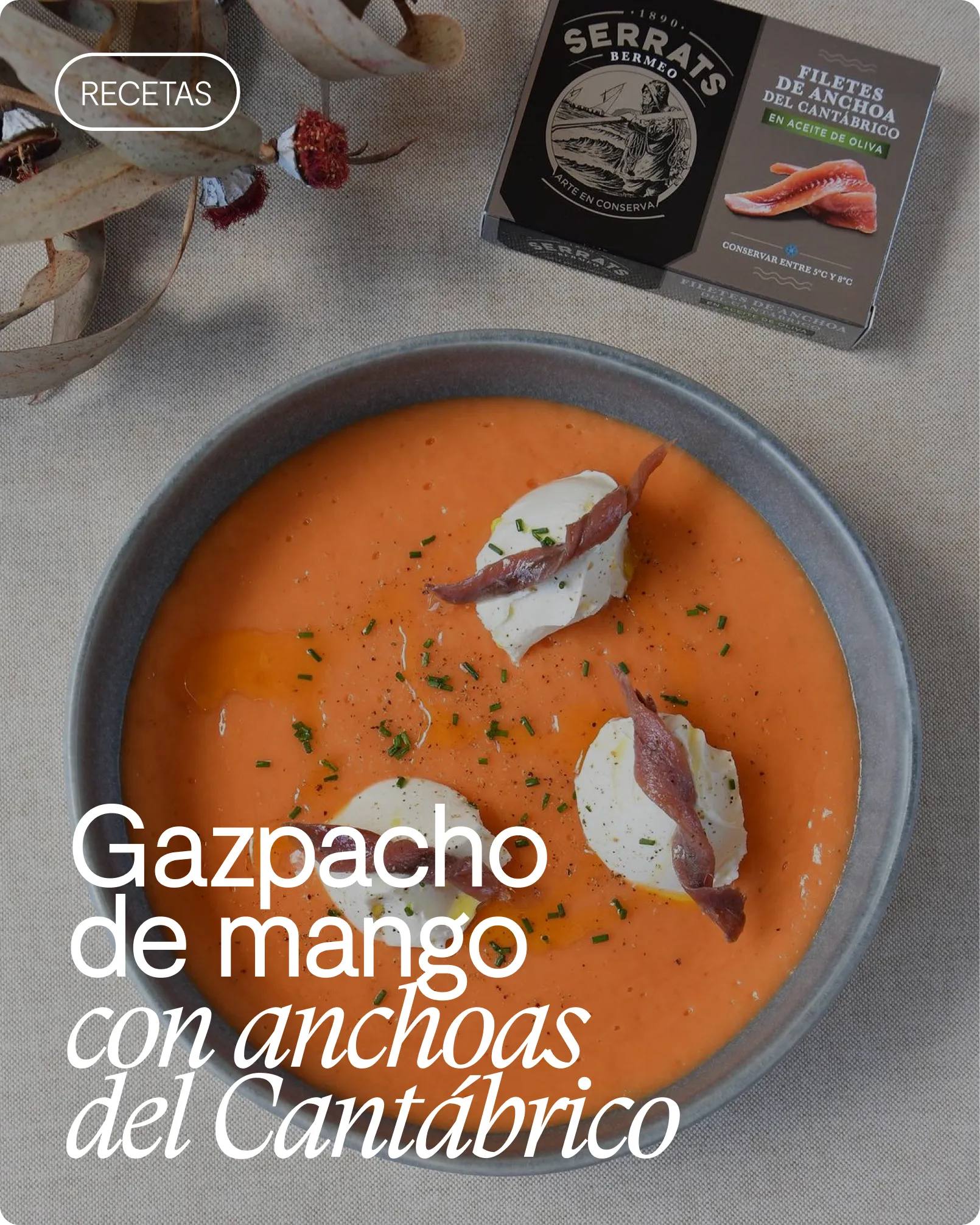 Receta de gazpacho de mango con anchoas Serrats
