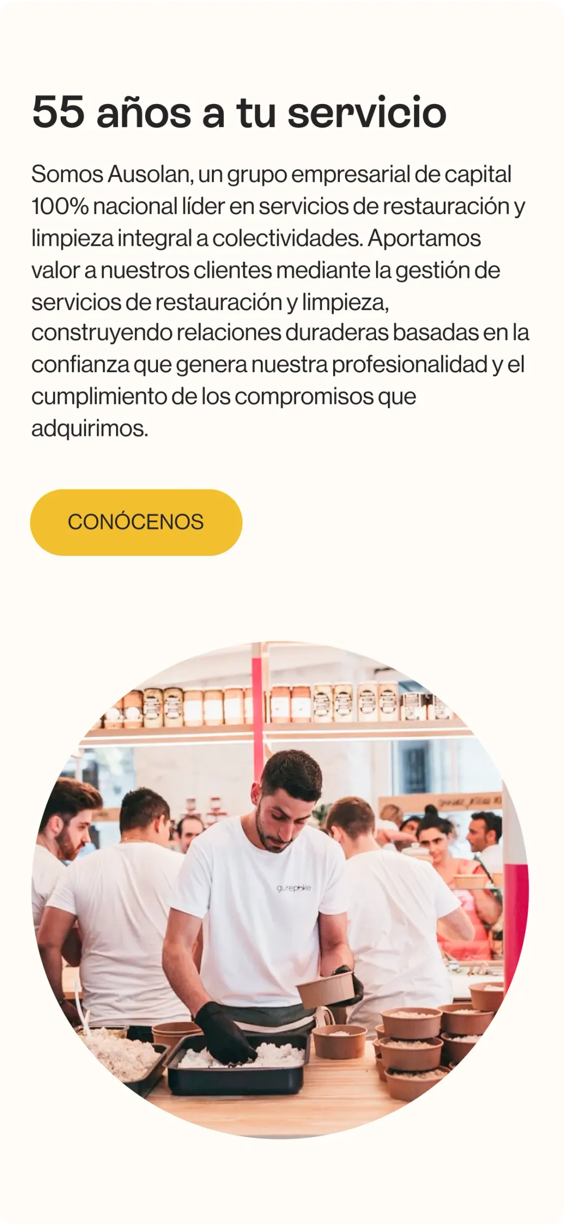 Momento de la web de Ausolan en mobile