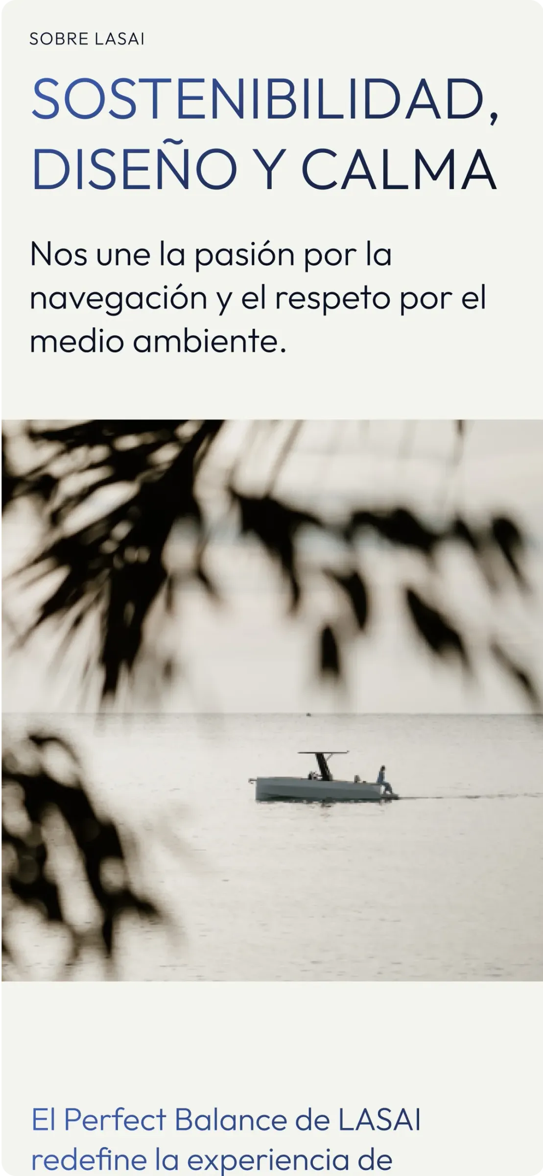 Lasai web mobile