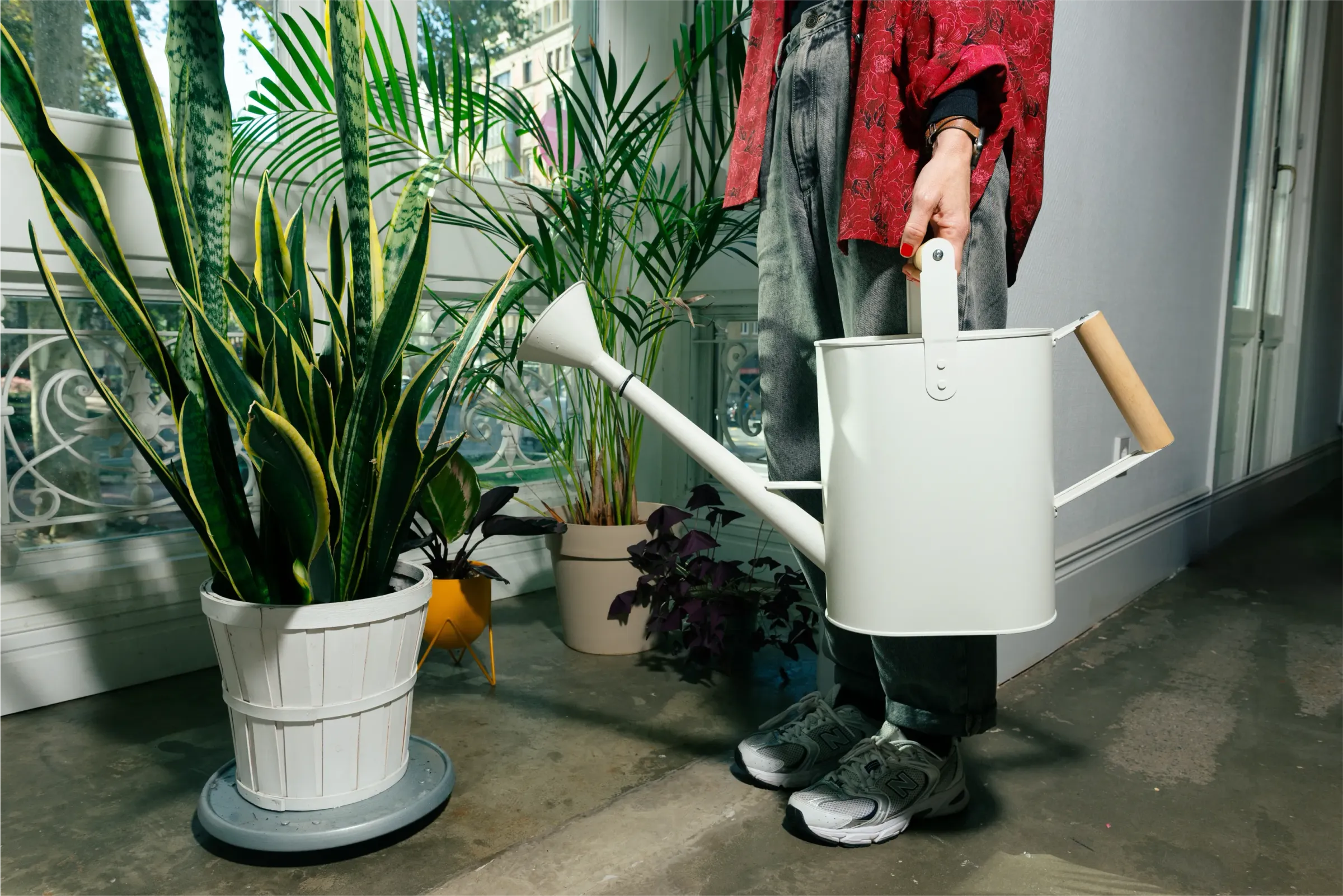 Persona con regadera para regar plantas